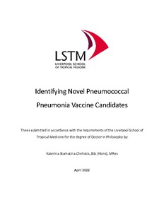 thesis on pneumococcal vaccine